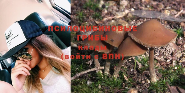 таблы Алексеевка
