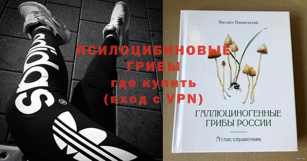 сатива Алзамай