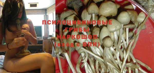 таблы Алексеевка
