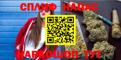 индика Гуково