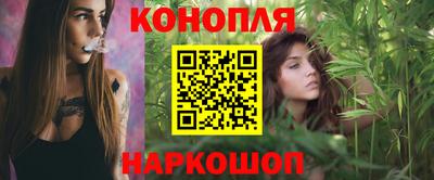 индика Гуково