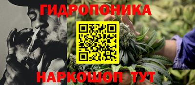 индика Гуково