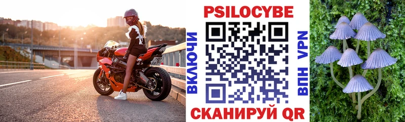 Галлюциногенные грибы Psilocybe  Борзя 