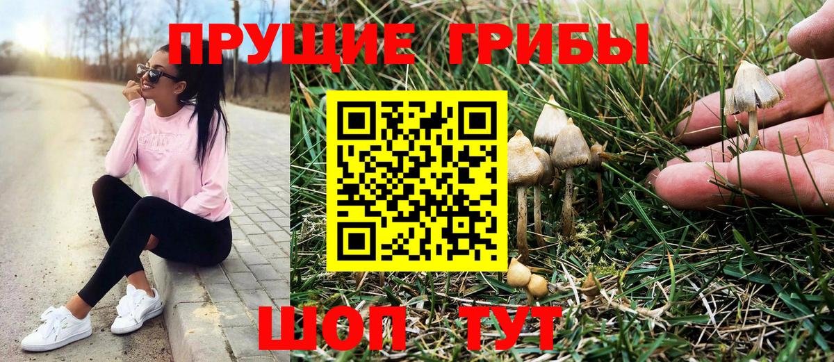 Борзя  Галлюциногенные грибы ЛСД  Вход с VPN 